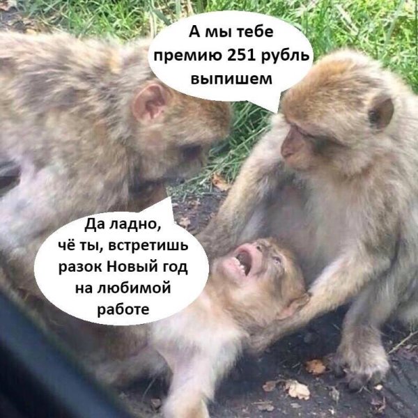 Шутки про премию на работе