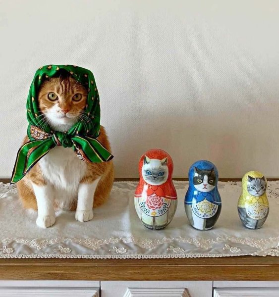 Котик в платочке
