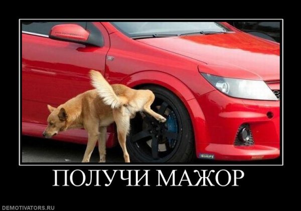 Шутки про мажоров