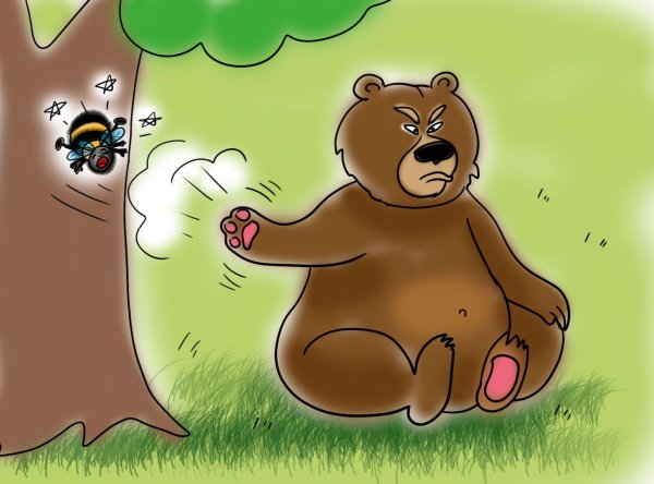 Медведь прикольные картинки