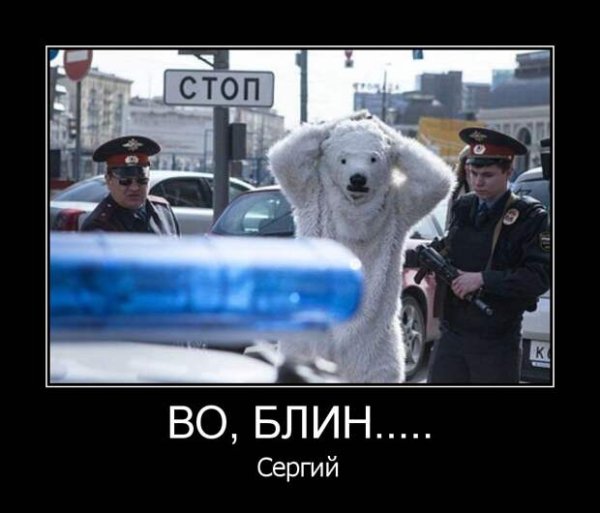 Медвежатник прикол