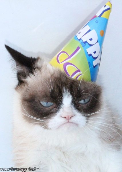Сердитый кот Grumpy Cat