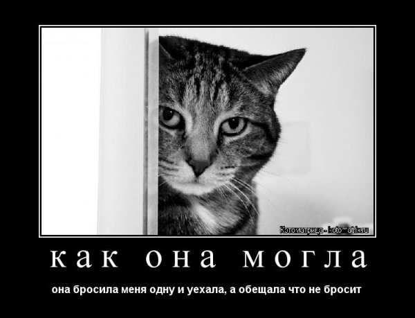 Меня бросили