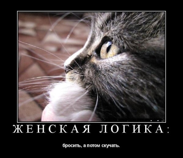 Смешные высказывания про скуку