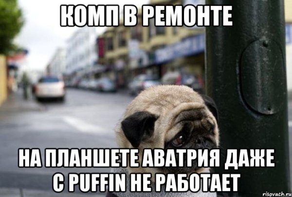 Картинки когда все уехали