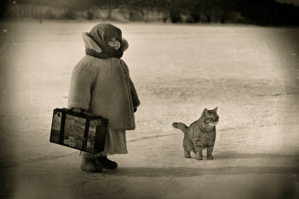 Фотограф Ярунин Олег Тольятти