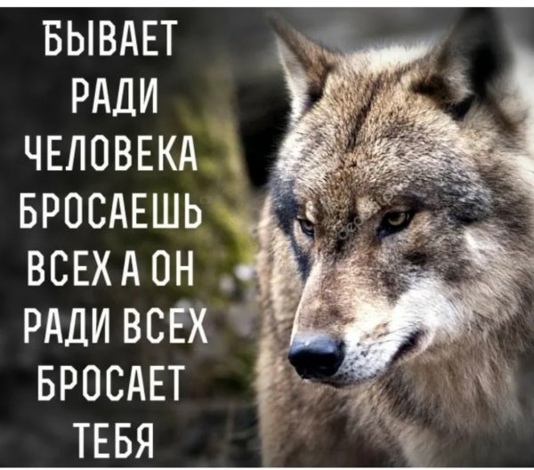 Любимых не бросают цитаты