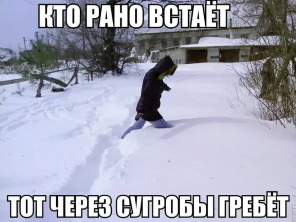 Приколы про снегопад