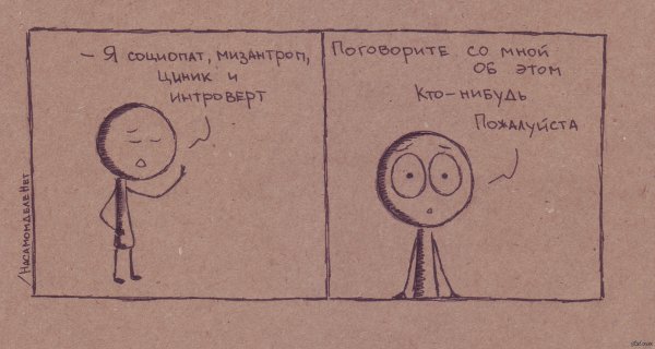 Интроверт мизантроп