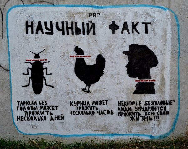 Мизантроп юмор
