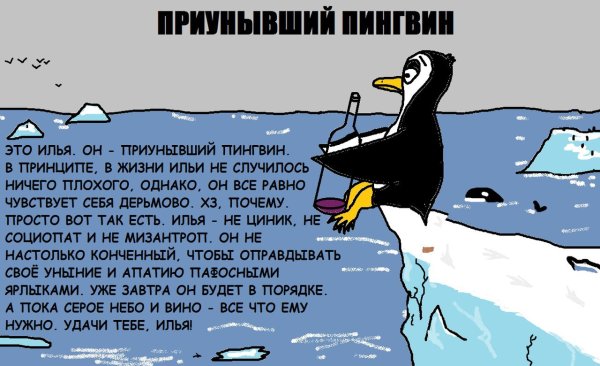 Шутки про пингвинов