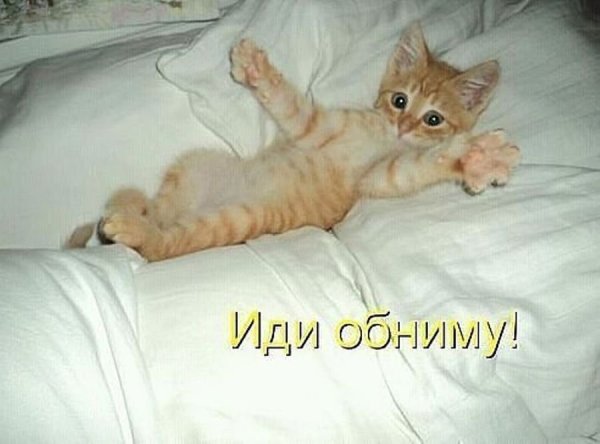 Котик проснулся