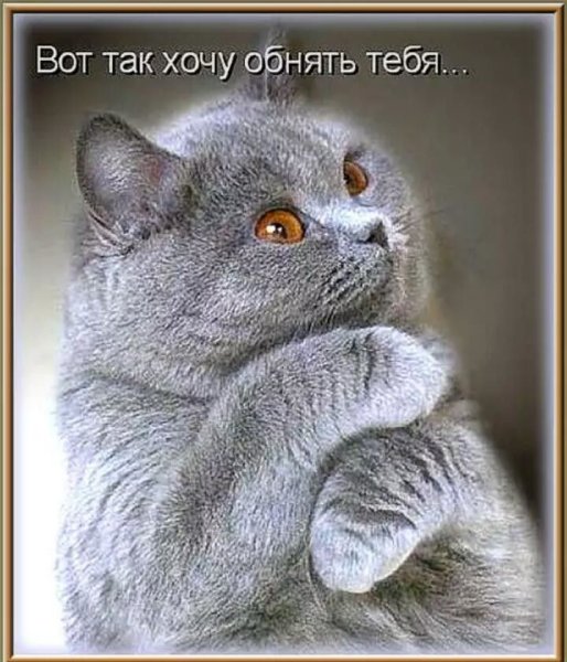 Обнимаю тебя картинки