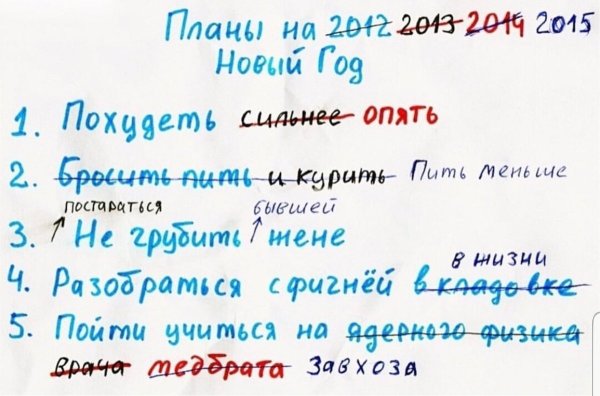 Смешные планы на год