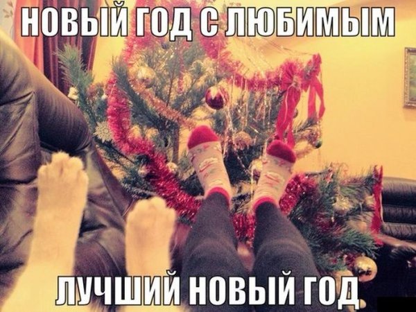 Планы на новый год прикол