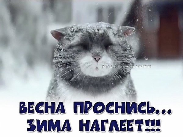 Весна Проснись зима наглеет