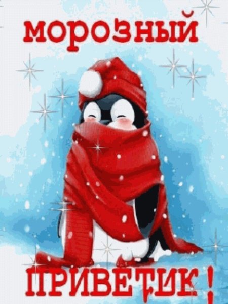 Зимний приветик