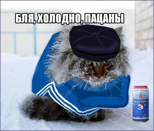 Открытки про холод