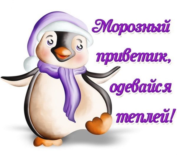 Зимние приветики картинки