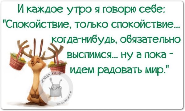 Цитаты с добрым утром прикольные