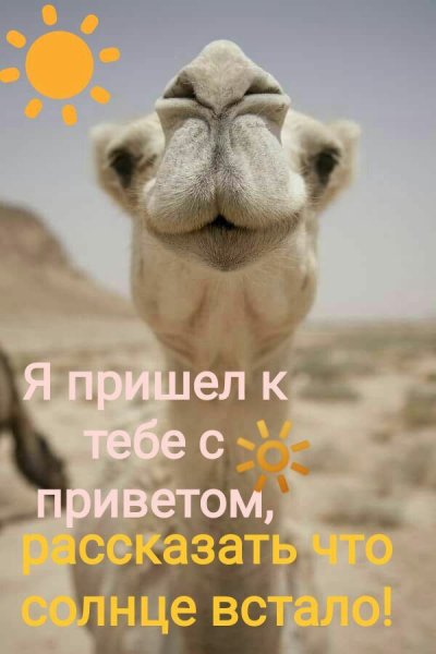Мотивирующие пожелания с добрым утром