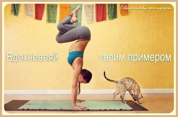 Йога мотиваторы