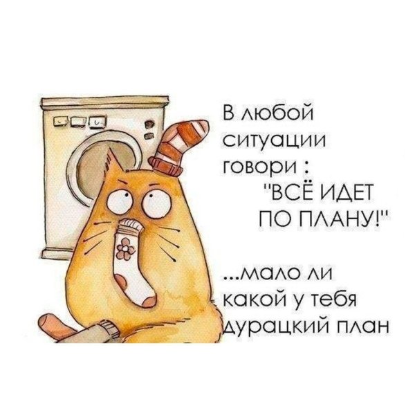 Мотивация на утро прикольные