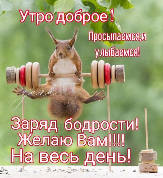 Доброе утро заряда бодрости на весь день