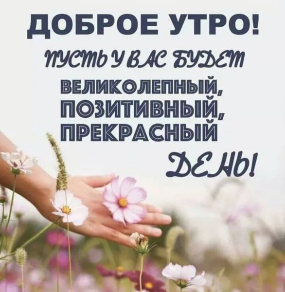 Умные цитаты с добрым утром