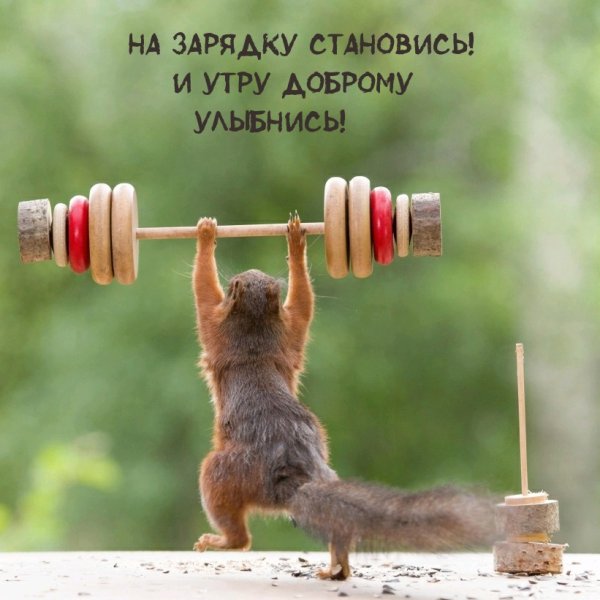 Хорошего плодотворного дея