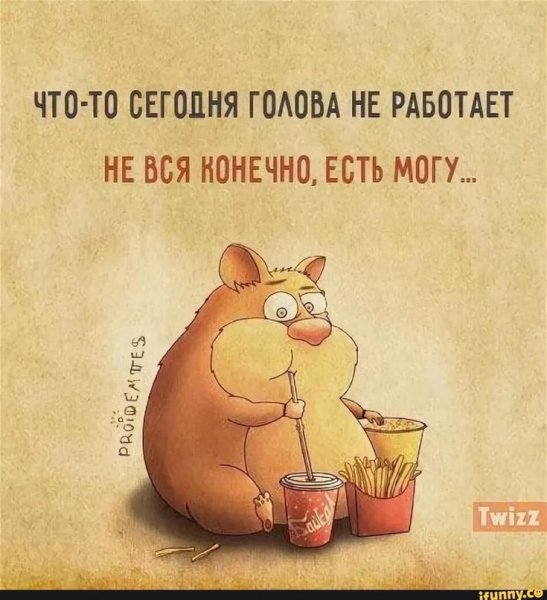 Прикольные высказывания с добрым утром