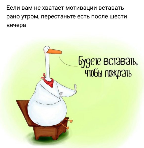 Смешные Мотивирующие высказывания