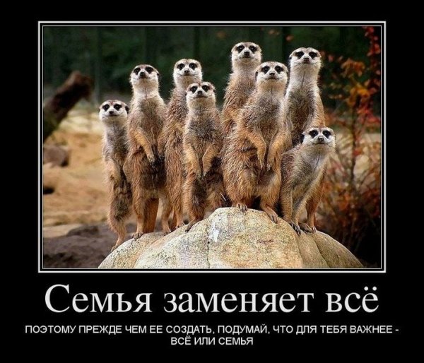 Демотиваторы про семью