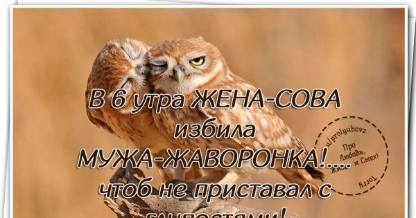 С добрым утром умные высказывания