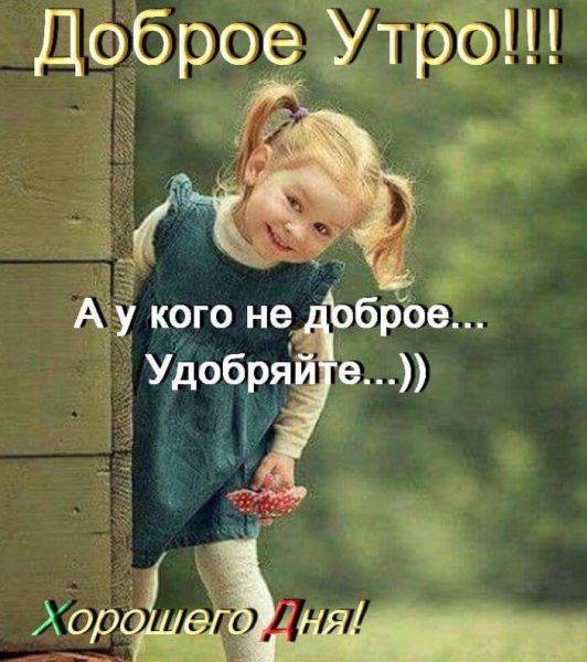 Доброе утро цитаты