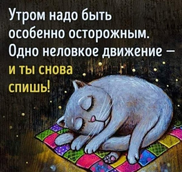 Смешные высказывания про утро