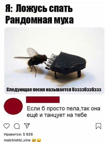 Муха Мем