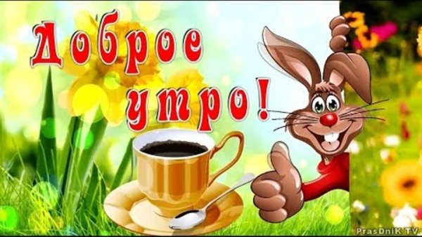 С добрым утром мультяшки