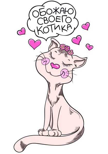 Любимому котику