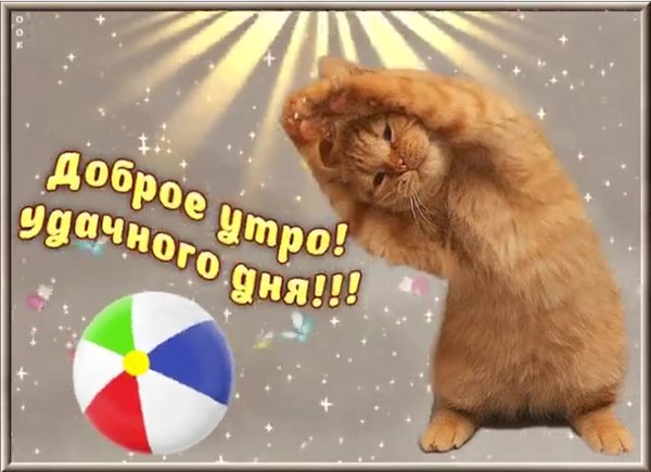 Открытки с добрым утром прикольные