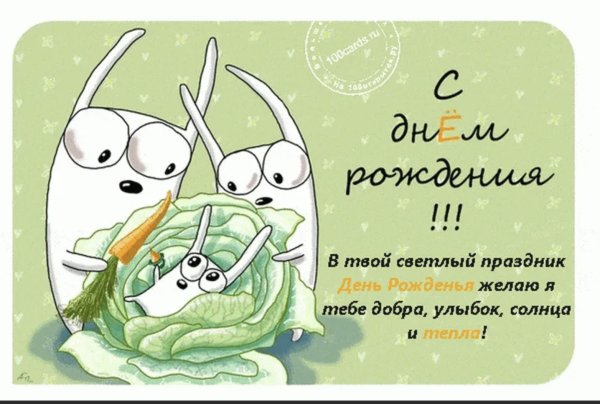 Смешные открытки с днем рождения