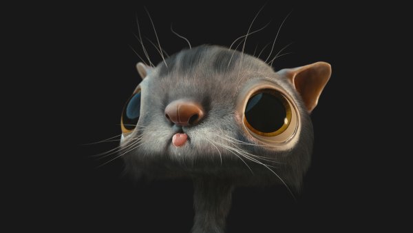 Фон на рабочий стол прикольные