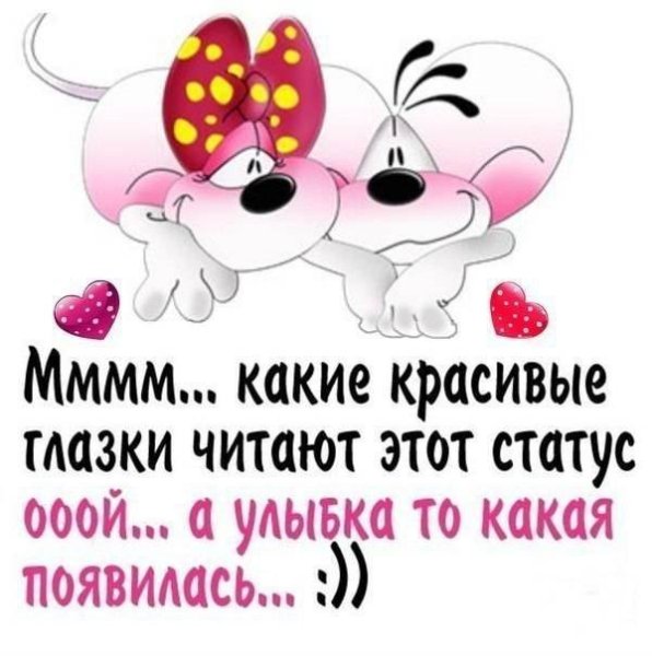 Прикольные статусы для вотсапа
