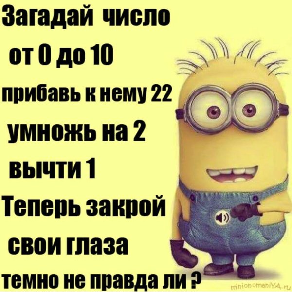 Прикольные статусы в картинках