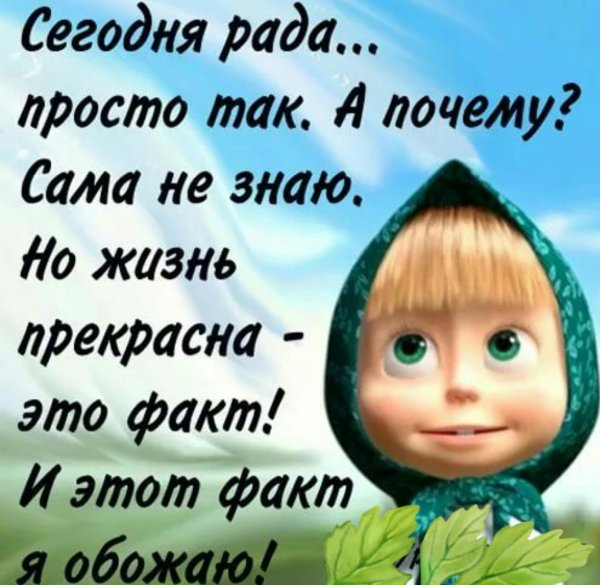 Статусы смешные и прикольные в картинках