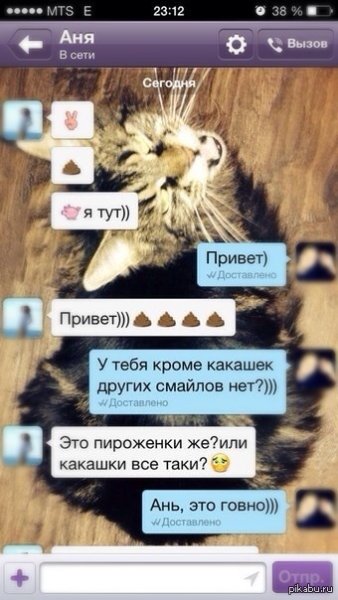 Прикольные статусы для ватсапа