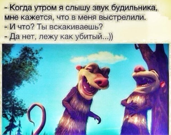Статусы для ватсапа