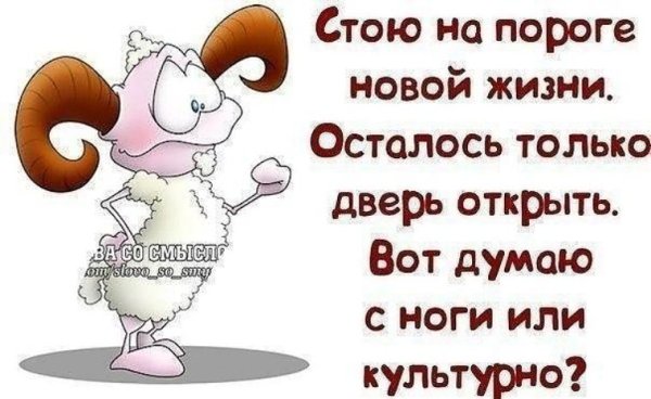 Статусы со смыслом прикольные