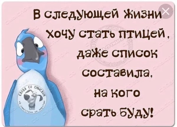 Прикольные статусы для Ватса