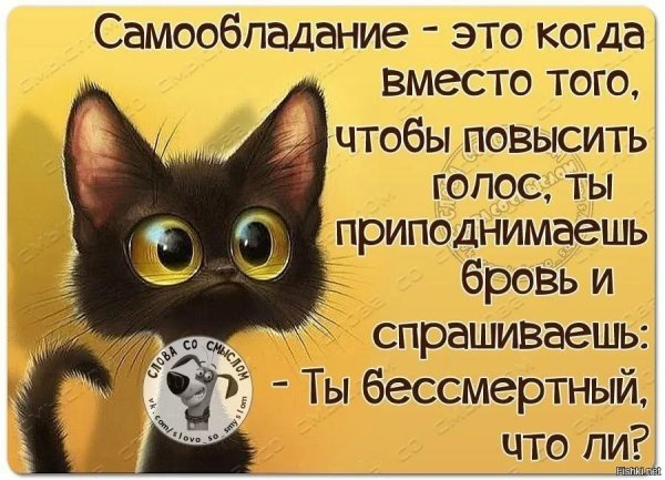 Классные картинки для статуса